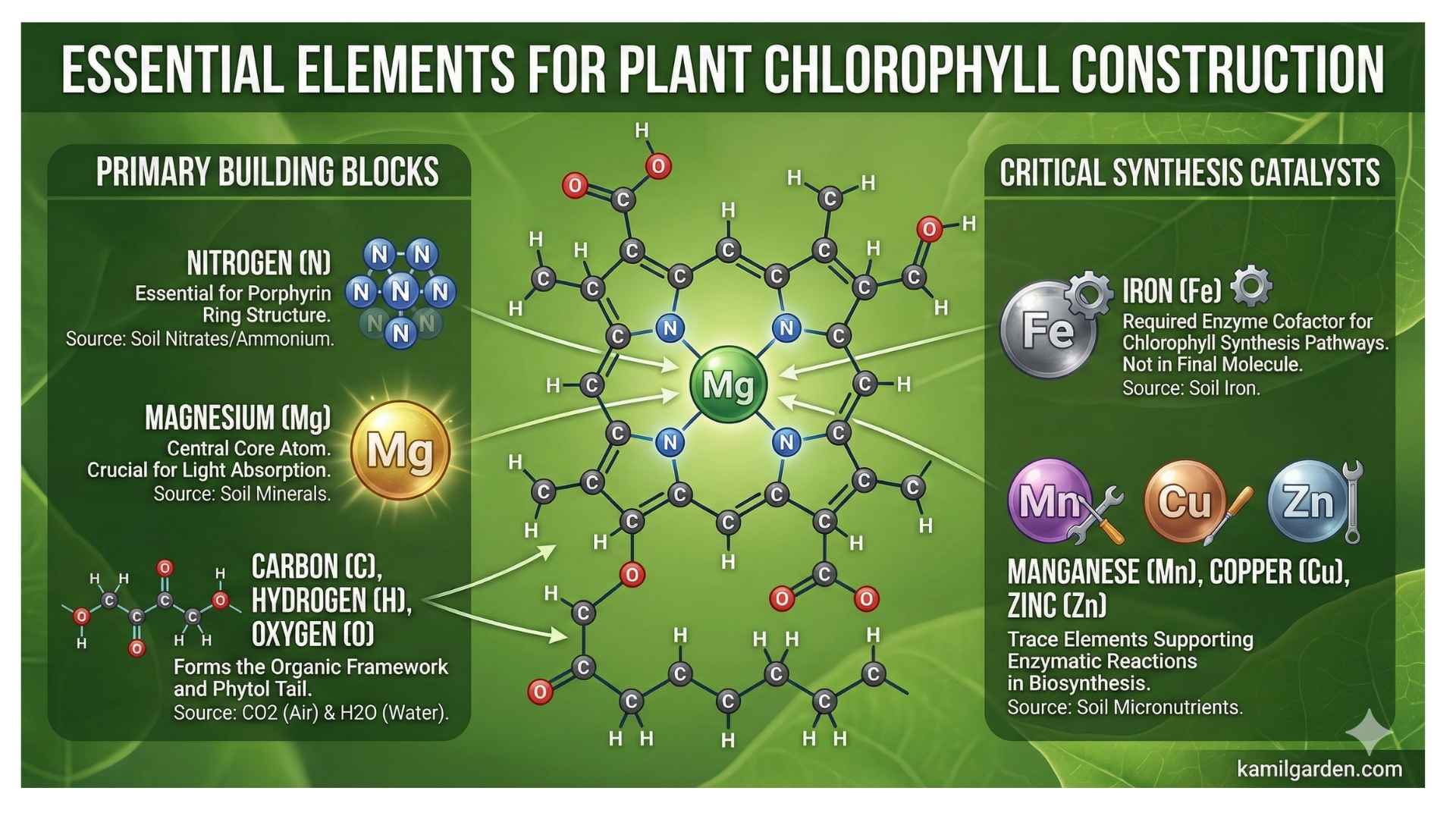 Horsetail tea process