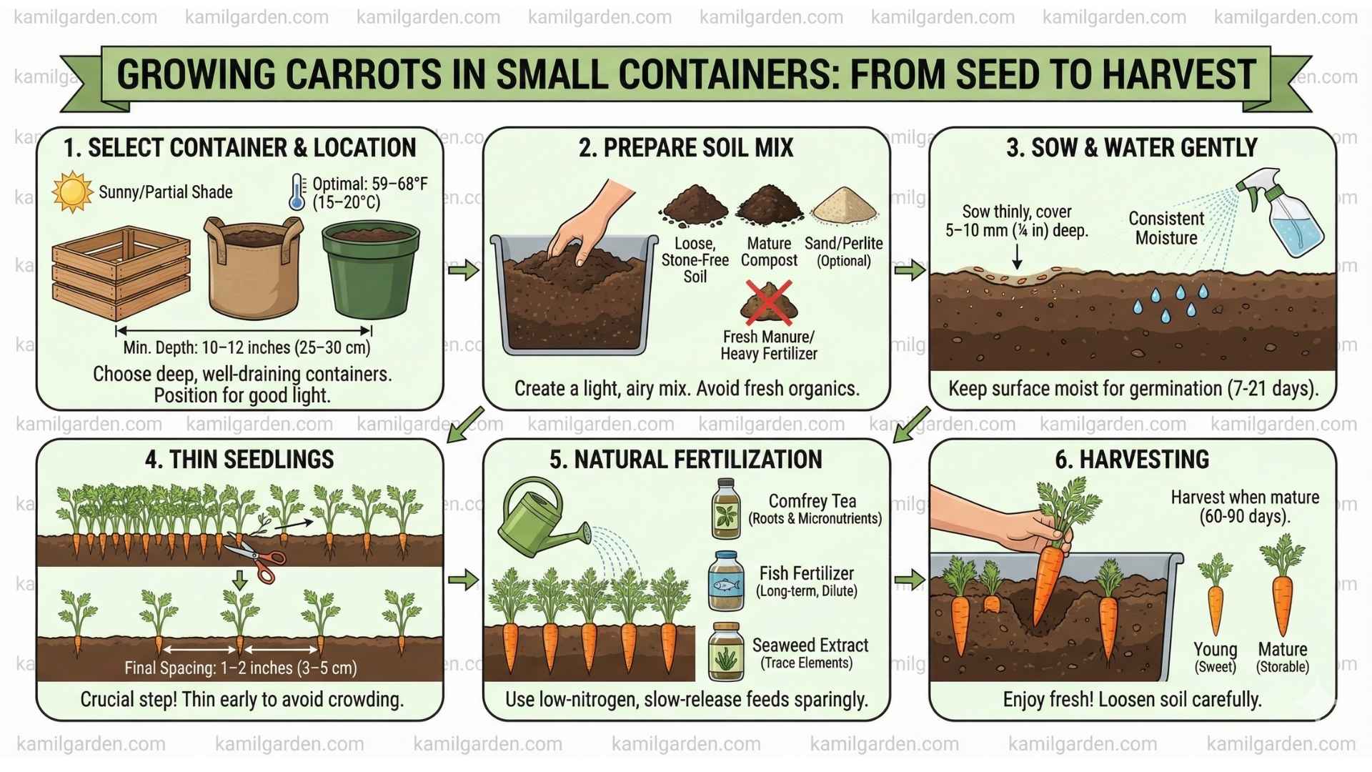 Growing Carrots from Seed to Harvest in Small Containers